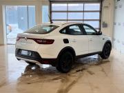 Renault Arkana I Москва  - изображение 24