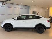 Renault Arkana I Москва  - изображение 25