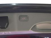 Kia Carnival III Екатеринбург  - изображение 38