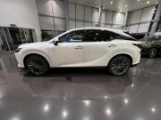 Lexus RX V Казань  - изображение 32