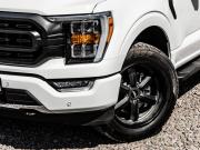 Ford F-150 XIV Санкт-Петербург  - изображение 37