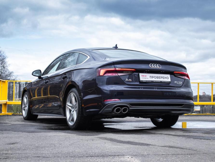 Audi A5 II (F5) Москва  - изображение 6