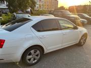 Skoda Octavia III (A7) Рестайлинг Нижний Новгород  - изображение 20