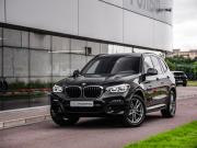 BMW X3 III (G01) Санкт-Петербург  - изображение 40