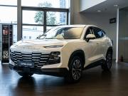 JETOUR DASHING I Москва  - изображение 13