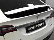 Tesla Model X I Ставрополь  - изображение 30