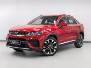 Geely Tugella I Москва  - изображение 31