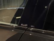 Audi Q5 III Тюмень  - изображение 30