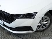 Skoda Octavia IV (A8) Санкт-Петербург  - изображение 33